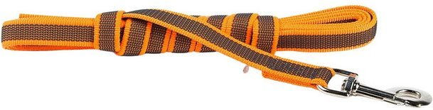 Produktbild von IDC Color & Gray gumierte Hundeleine 20 mm x 3 m Orange-Grau - 3 m