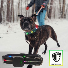 Produktbild von Illes-Laedchen Hunde-Halsband exklusives LED Hundehalsband wasserdicht AKKU wiederaufladbar
