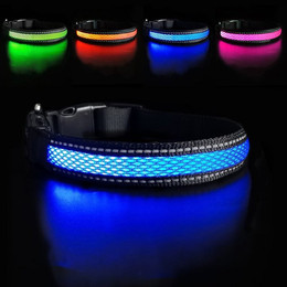 Produktbild von Illes-Laedchen Hunde-Halsband LED Hundehalsband Blinklicht wasserdicht wiederaufladbar USB