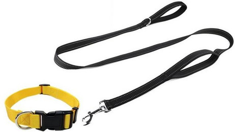 Produktbild von Illes-Laedchen Hunde-Halsband mit Leine im Set