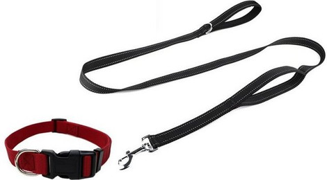 Produktbild von Illes-Laedchen Hunde-Halsband mit Leine im Set