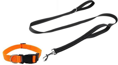 Produktbild von Illes-Laedchen Hunde-Halsband mit Leine im Set