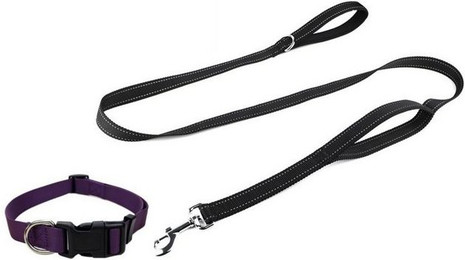 Produktbild von Illes-Laedchen Hunde-Halsband mit Leine Set