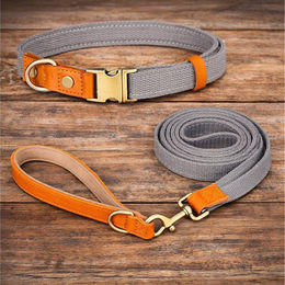 Illes-Laedchen Hunde-Halsband Set Hundehalsband und Hundeleine Leine und Halsband Nylon Leder, hochwertigste Qualität - erhältlich in vielen Größen und Farben – Bild 1 von 5