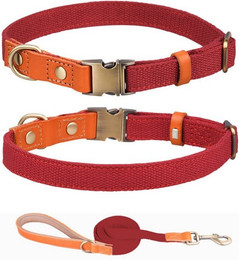 Produktbild von Illes-Laedchen Hunde-Halsband Set Nylon und Leder
