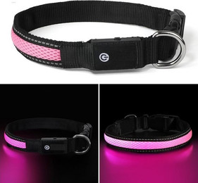 Produktbild von Illes-Laedchen LED Hundehalsband wasserdicht wiederaufladbar