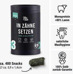 Produktbild von In Zähne setzen