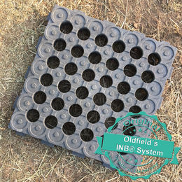 Produktbild von INB® Paddockplatte