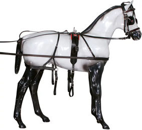 Produktbild von Individueller synthetischer Gurt Tattini