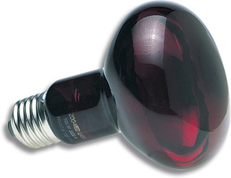 Produktbild von Infrarot-beheizte Terrarienlampe Zoomed RS100