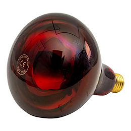 Produktbild von Infrarotlampe Horizont PAR