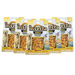 Produktbild von Insecta Nibbles Mehlwurm & Kürbis Hundekekse - 5 x 100 g