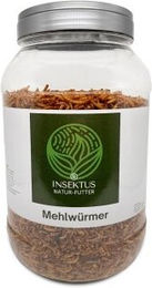Insektus Mehlwürmer 2,5 kg – Bild 1 von 3