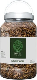 Produktbild von Insektus Seidenraupen - 1,5 kg