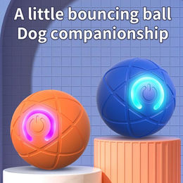 Produktbild von Intelligenter Hundespielzeugball
