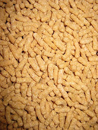 Produktbild von Interquell Teichsticks - 5 kg