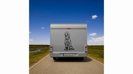 Produktbild von Irish Setter Wohnmobil Aufkleber