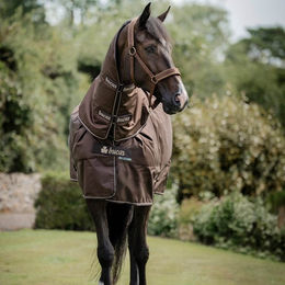 Produktbild von Irish Turnout 50g + Neck Set