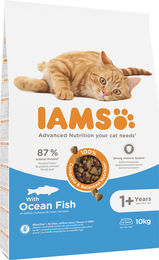 IAMS Advanced Nutrition Trockenfutter für adulte Katzen mit Fisch und Huhn 10 kg - 2 x 10 kg – Bild 1 von 13