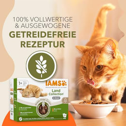IAMS Delights Land Collection Katzenfutter Nass Getreidefrei Multipack mit Huhn Lamm Rind und Ente in Sauce für adulte Katzen 12 x 85g - 48 x 85 g – Bild 1 von 8