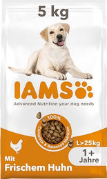 IAMS for Vitality Trockenfutter für große Hunde Adult mit Huhn und Pute getreidefrei 5 kg - 5 kg – Bild 1 von 10