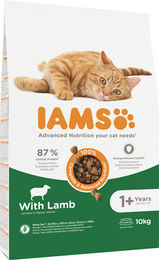 IAMS Katzenfutter Trockenfutter Adult mit Lamm und Huhn 10 kg - 10 kg – Bild 1 von 13
