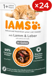 IAMS Katzennahrung Lamm und Leber Gelee für erwachsene Katzen 24 x 85 g – Bild 1 von 1