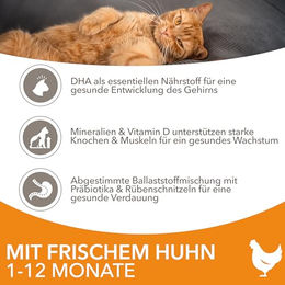 IAMS Kitten Trockenfutter Huhn Getreidefrei 1500g – Bild 1 von 8