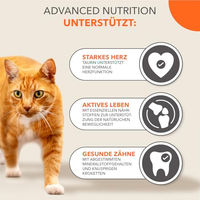 Produktbild von IAMS Senior Katzenfutter Trockenfutter mit Thunfisch ohne Farb- und Aromastoffe 3 kg - 3 kg