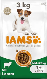 IAMS Trockenfutter Lamm für kleine und mittelgroße erwachsene Hunde weizenfrei 3 kg – Bild 1 von 2