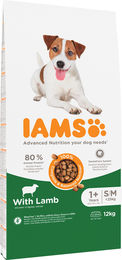 IAMS Trockenhundefutter Adult Small & Medium mit Lamm Huhn und Pute 12 kg - 2 x 12 kg – Bild 1 von 13