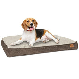 Produktbild von ib style Dreams Hundematte aus Kunstleder für mittelgroße Hunde in Braun Größe M mit abnehmbarem Bezug