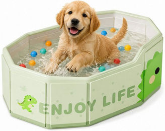 ibettertec Hundepool Faltbare Hundebadewanne für Welpen 75x45x23cm – Bild 1 von 2