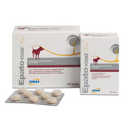 ICF Epato 1500 Plus Nahrungsergänzung zur Unterstützung der Leberfunktion für Hunde 2 x 120 Tabletten - 2 x 120 Stk. – Bild 1 von 3