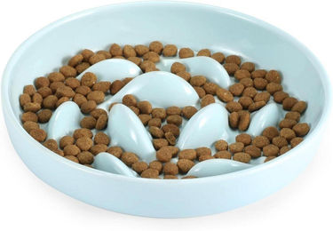 IDOGCHEW Antischlingnapf für Katzen aus Keramik in Hellgrün Slow Feeder – Bild 1 von 7