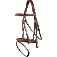 Produktbild von Ikonic PRO Leder Trense mit kombiniertem Reithalfter für Ponys in Braun