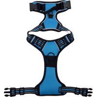 Produktbild von Illes-Laedchen Hundegeschirr Blau verstellbar gepolstert und reflektierend mit atmungsaktivem Mesh