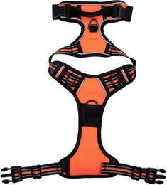 Illes-Laedchen Hundegeschirr verstellbar gepolstert und reflektierend in Orange mit atmungsaktivem Mesh – Bild 1 von 3