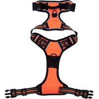 Produktbild von Illes-Laedchen Hundegeschirr verstellbar und reflektierend in Orange mit gepolstertem Mesh-Material