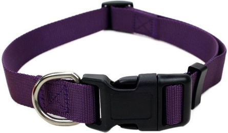 Illes-Laedchen Hundehalsband aus Nylon mit Klickverschluss Lila – Bild 1 von 4