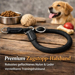 Illes-Laedchen Hundehalsband und Führleine Set aus Nylon mit Zugstopp in Schwarz – Bild 1 von 5