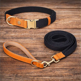 Illes-Laedchen Hundehalsband und Hundeleine Set aus Nylon und Leder für erwachsene Hunde – Bild 1 von 5