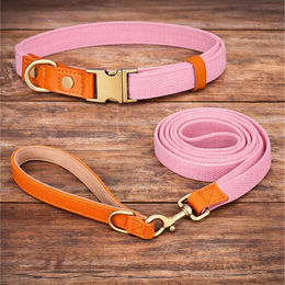 Illes-Laedchen Hundehalsband und Hundeleine Set aus Nylon und Leder für erwachsene Hunde in Rosa – Bild 1 von 5