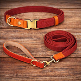 Illes-Laedchen Hundehalsband und Leine Set aus Nylon und Leder für erwachsene Hunde in Rot – Bild 1 von 5