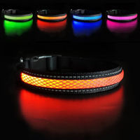 Produktbild von Illes-Laedchen LED Hundehalsband für erwachsene Hunde, wasserdicht, USB wiederaufladbar, Orange