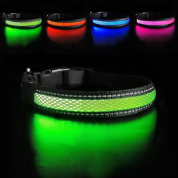 Illes-Laedchen LED Hundehalsband mit Blinklicht wasserdicht und USB wiederaufladbar für erwachsene Hunde – Bild 1 von 4