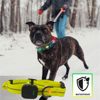 Produktbild von Illes-Laedchen LED Hundehalsband wasserdicht mit wiederaufladbarem Akku