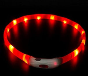 Illes-Laedchen LED Leuchthalsband für Hunde mit wiederaufladbarem Leuchtring und Typ-C-Kabel in Rot – Bild 1 von 3