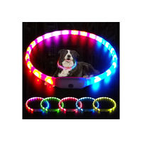 Produktbild von Illes-Laedchen LED Leuchtring Hundehalsband aus Silikon bunt für erwachsene Hunde