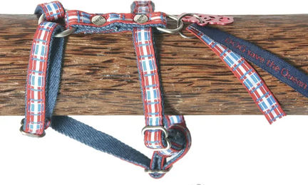 Produktbild von Image Dog Save Hundegeschirr aus Nylon in Blau und Bunt Größe L